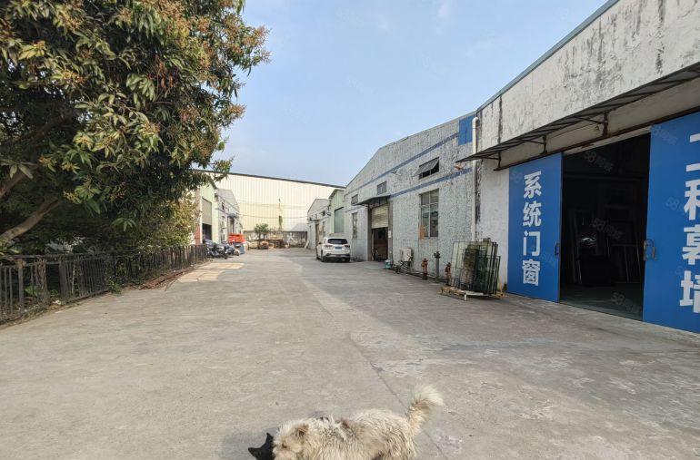 惠州市惠阳区淡水原房东独栋钢构厂房1300平方空地大形象好