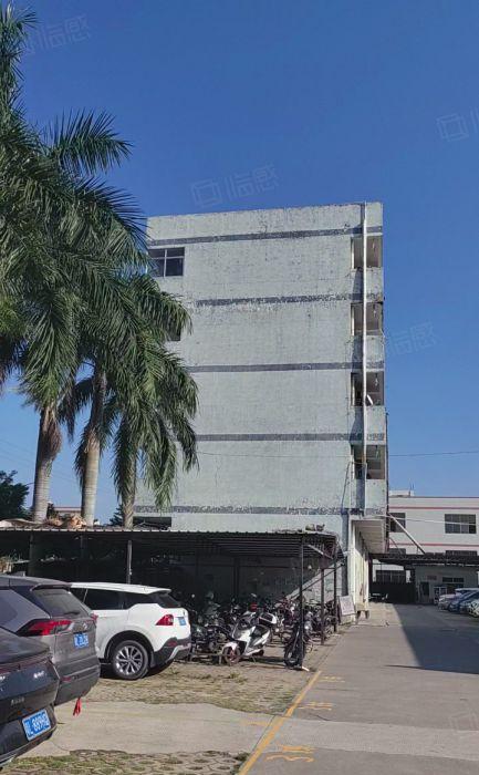 镇隆厂房出租独栋厂房3000平花园厂房可仓库出租空地大有办公