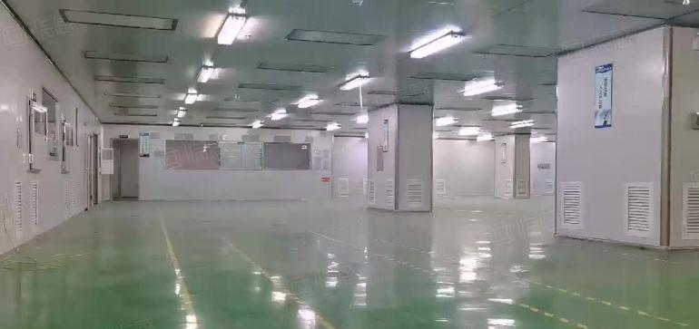 惠阳低价无尘车间厂房出租 无转让费 精装修10元 可分租