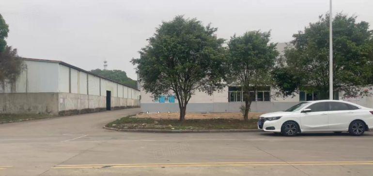 带货台 镇隆万里工业区新出5000平单一层厂房仓库低价出租