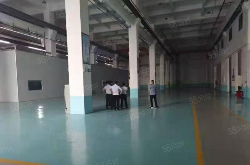 仲恺陈江新出原房东2层独栋厂房7180平一楼11米带现成行车