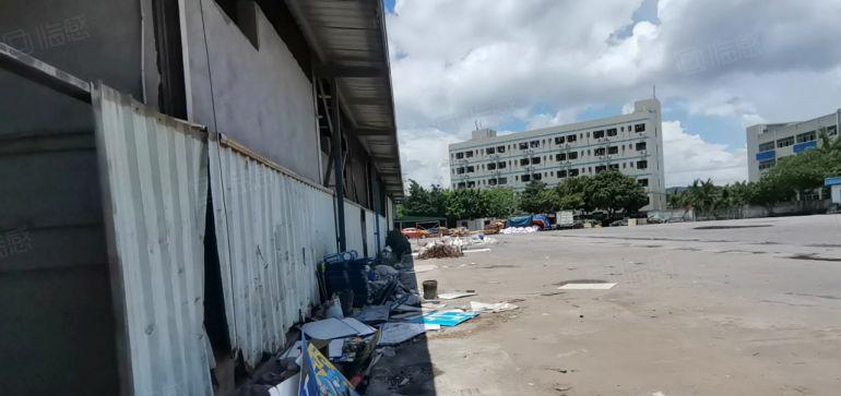 惠州长布工业区独栋3千平层高9米钢构仓库厂房出租可分租空地大