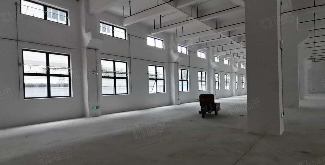 2百5百8百1千平起分租新墟长布工业区独栋2千平仓库厂房出租