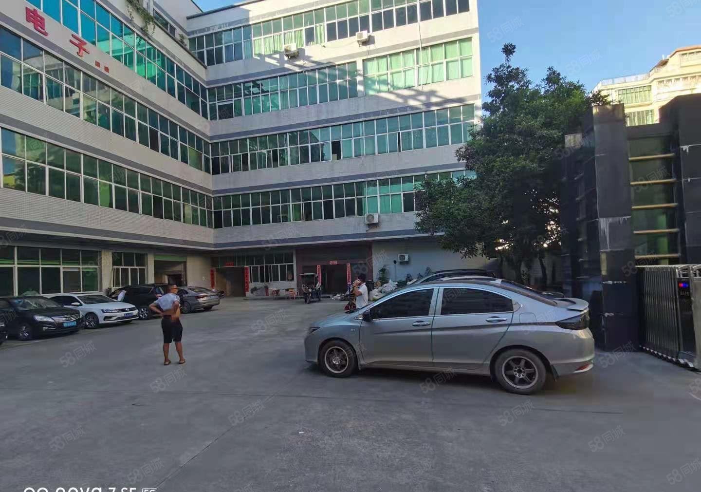 新出红本厂房小面积标准1楼