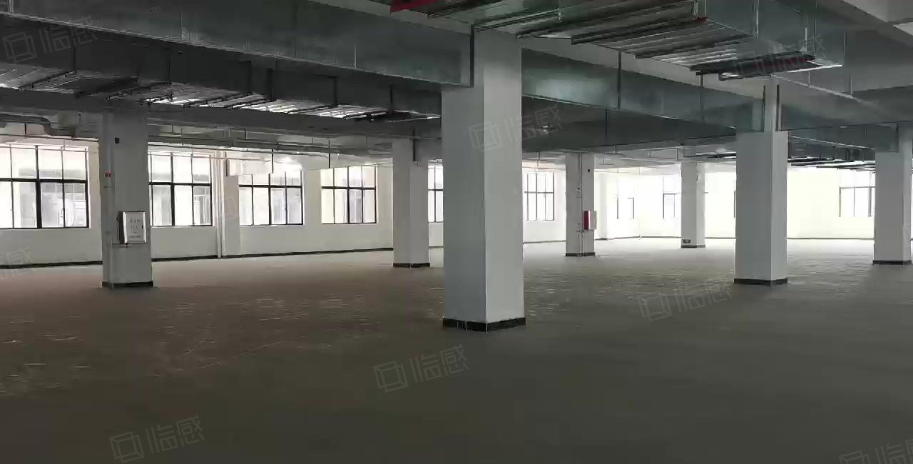 零公摊原房东全新红本厂房，独立办公楼，宿舍楼，空地面积1万平