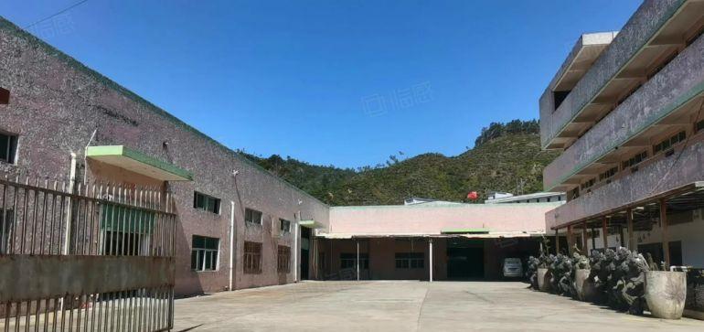 12块新出！新圩3600平独院钢构厂房仓库出租空地大可分租