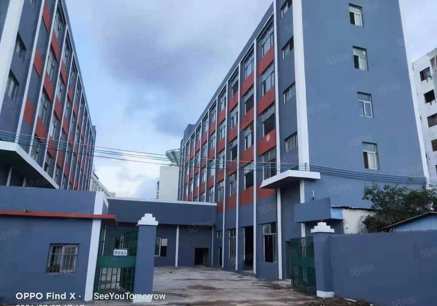 原房东红本厂房大小可分租