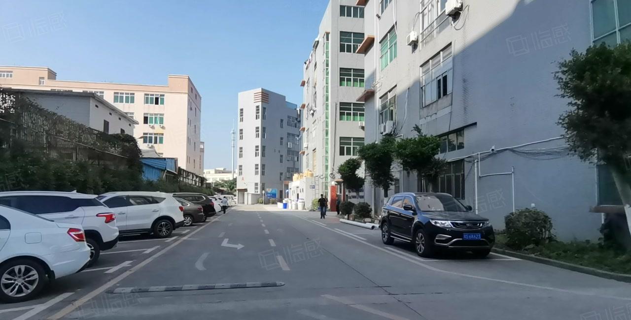 镇隆第二工业区原房东楼上800平方厂房仓库出租大小可分带环评