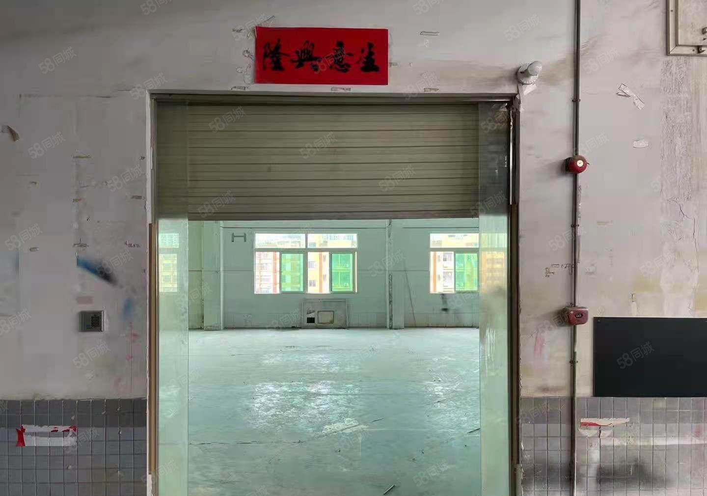 惠阳淡水新出标准厂房550平，证件齐全