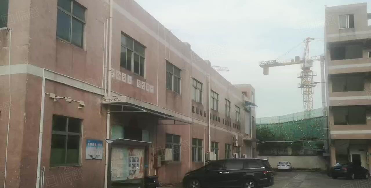镇隆成熟工业区 原房东独院3600平厂房出租 豪华装修可分租