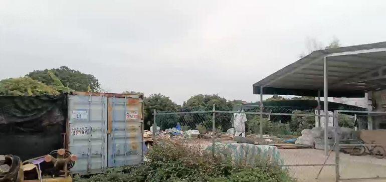 惠阳新圩长布新出原房东红本钢结构厂房800平招租