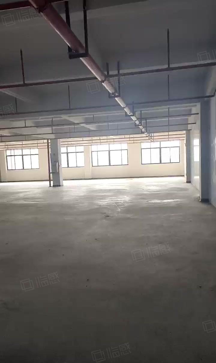 惠阳区新圩镇新空出1060平标准厂房可做喷油