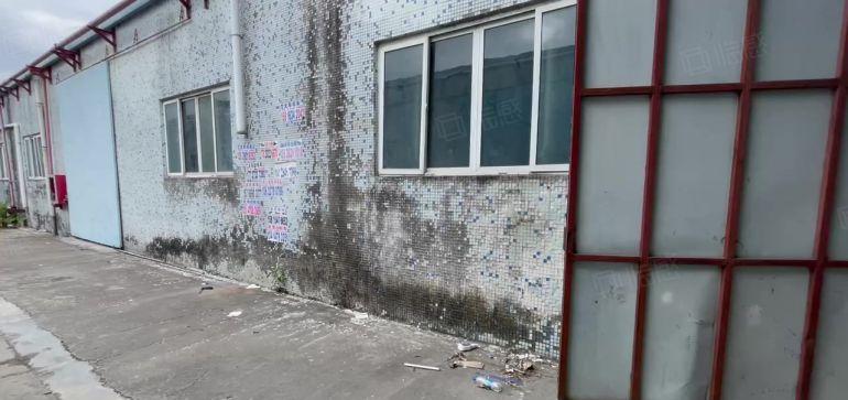 临深靠国道原房东850平钢构厂房
