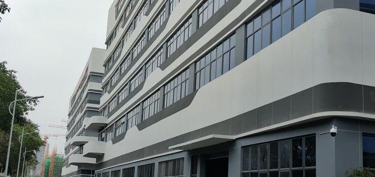 大亚湾西区国企自建全新厂房出租，每年免租两个月，实际面积含税