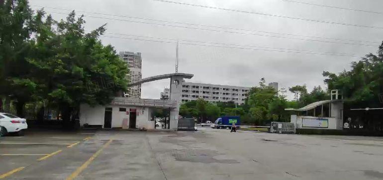 17元一平大亚湾中心区现成办公室全新地坪漆厂房