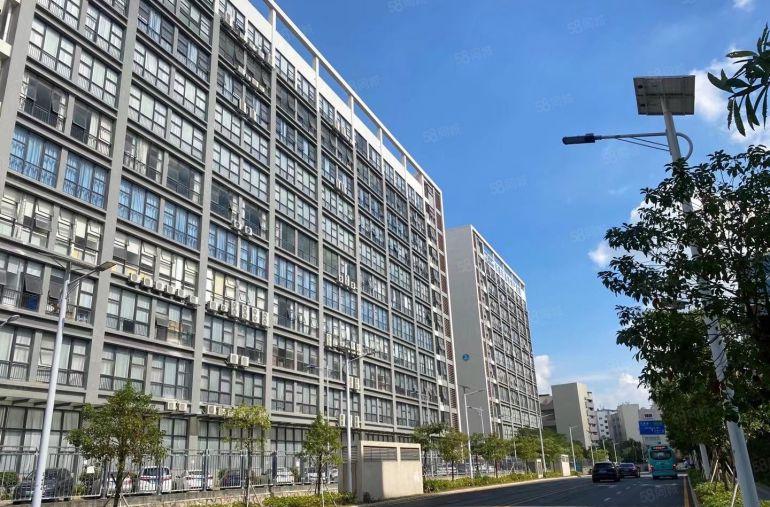 大亚湾西区原房东一楼3000平仓库厂房出租高7米200起分租