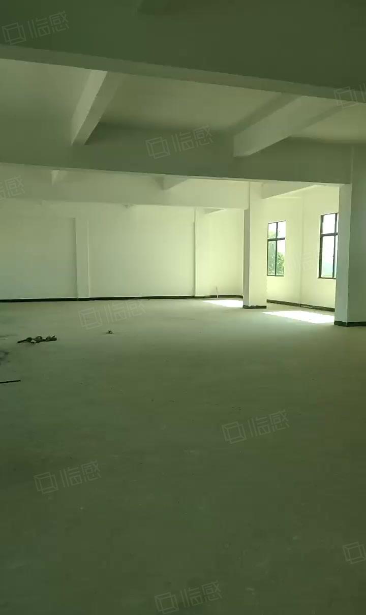 大亚湾中心区新空出950平标准厂房招租
