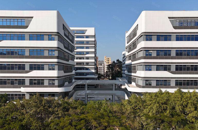 大亚湾西区国企自建全新厂房出租，每年免租两个月，实际面积含税