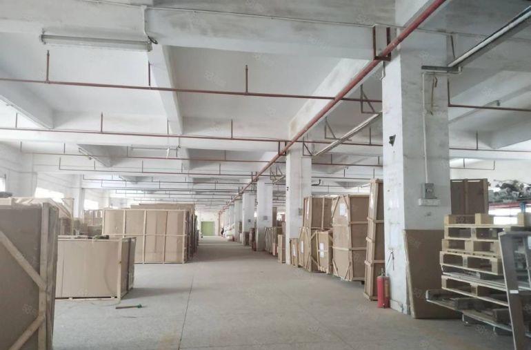 惠阳原房东工业厂房 现成喷油房环境优美