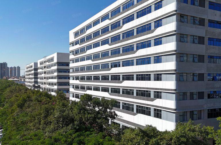大亚湾西区国企自建全新厂房出租，每年免租两个月，实际面积含税