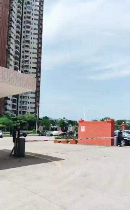 大亚湾西区龙山六路原房东新出500平县城地坪漆宿舍楼电商仓储
