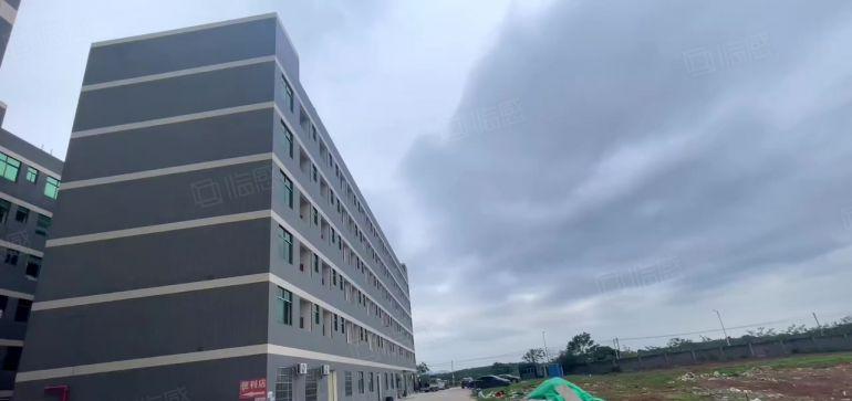 园洲靓厂房 高速路旁 环评秒过 带饭堂精装宿舍 空地可租