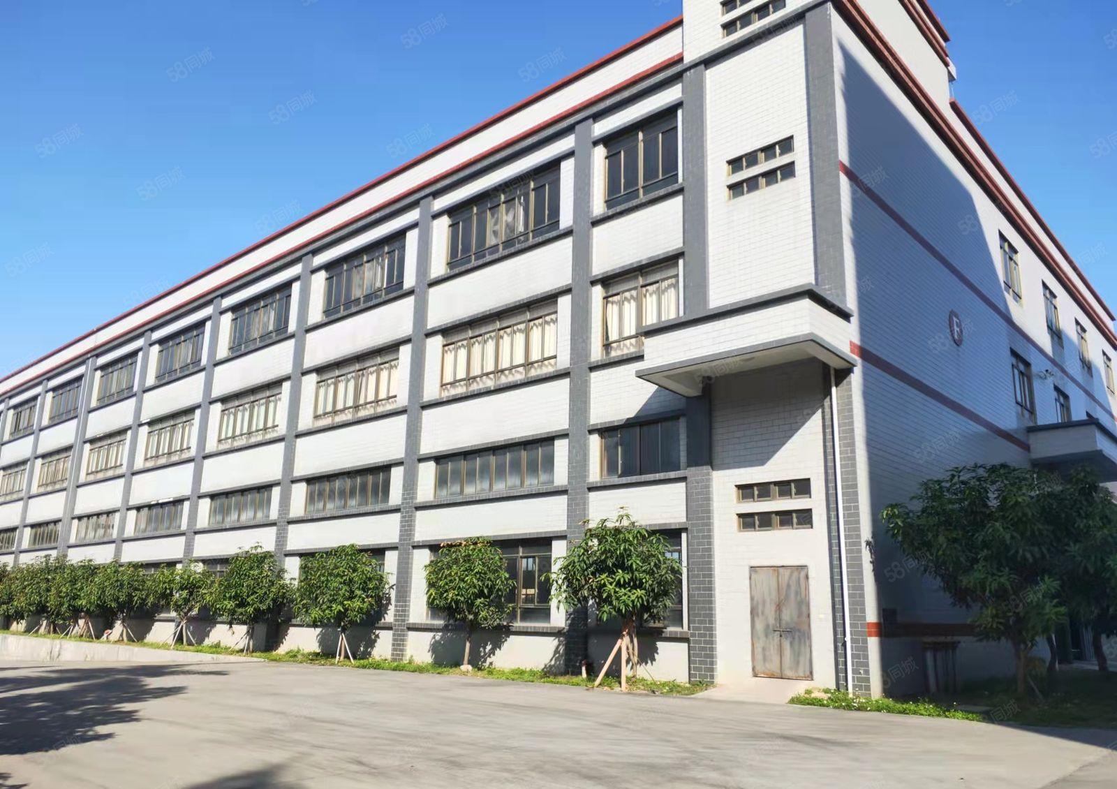 园洲原房东自用厂房分租独栋4850平方三层标准厂房 可隔独院