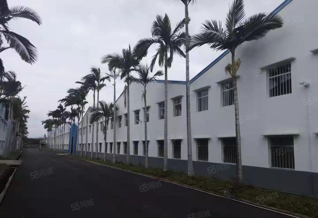 龙华全新厂房出租旁边无居民交通方便
