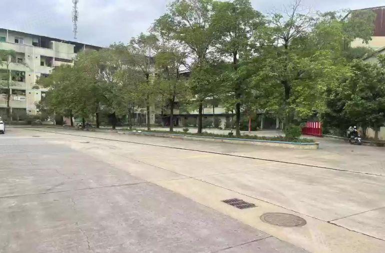 ( 出租 ) 博罗 罗阳原房东独门独院单一层厂房5000平