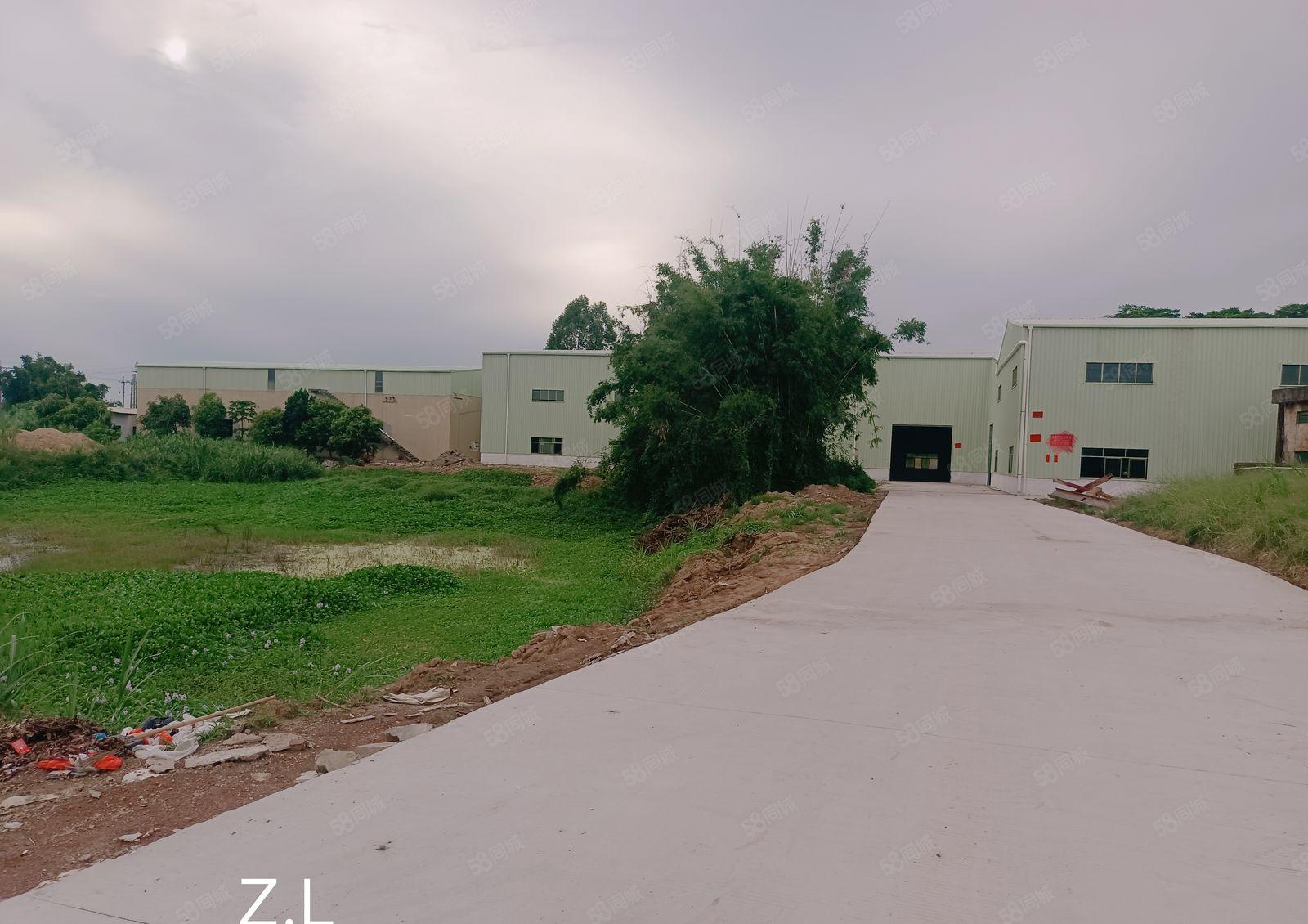 园洲独院厂房出租，可做小污染，周边无居民，工业用地，可办环保