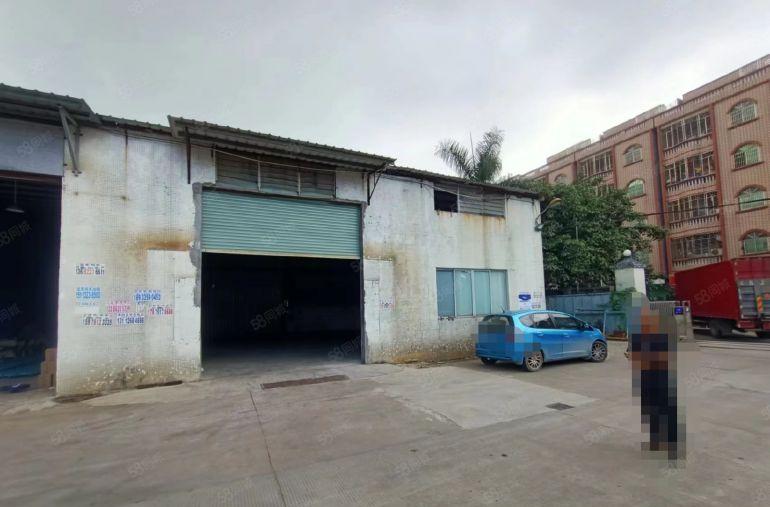 园洲镇原房东砖墙到顶单一层300平