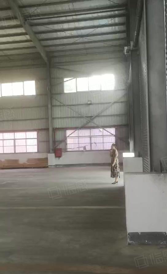园洲高速出口附近独栋单一层钢构1500平出租滴水9米可办环评