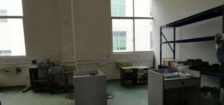 石湾500至1500平原房东整层精装修厂房低价出租可办环评