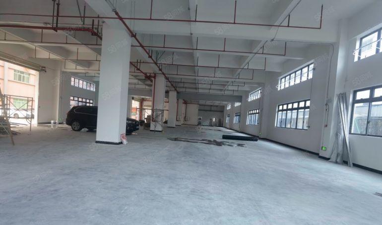 新出！！园洲镇中心位置全新标准厂房独院5500平方低价出租
