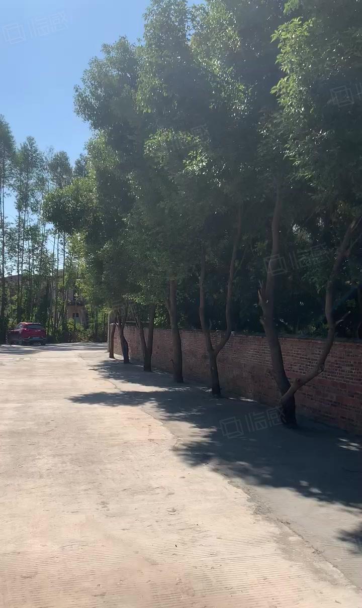 博罗靠东莞价格便宜十米单一层独院3200平方