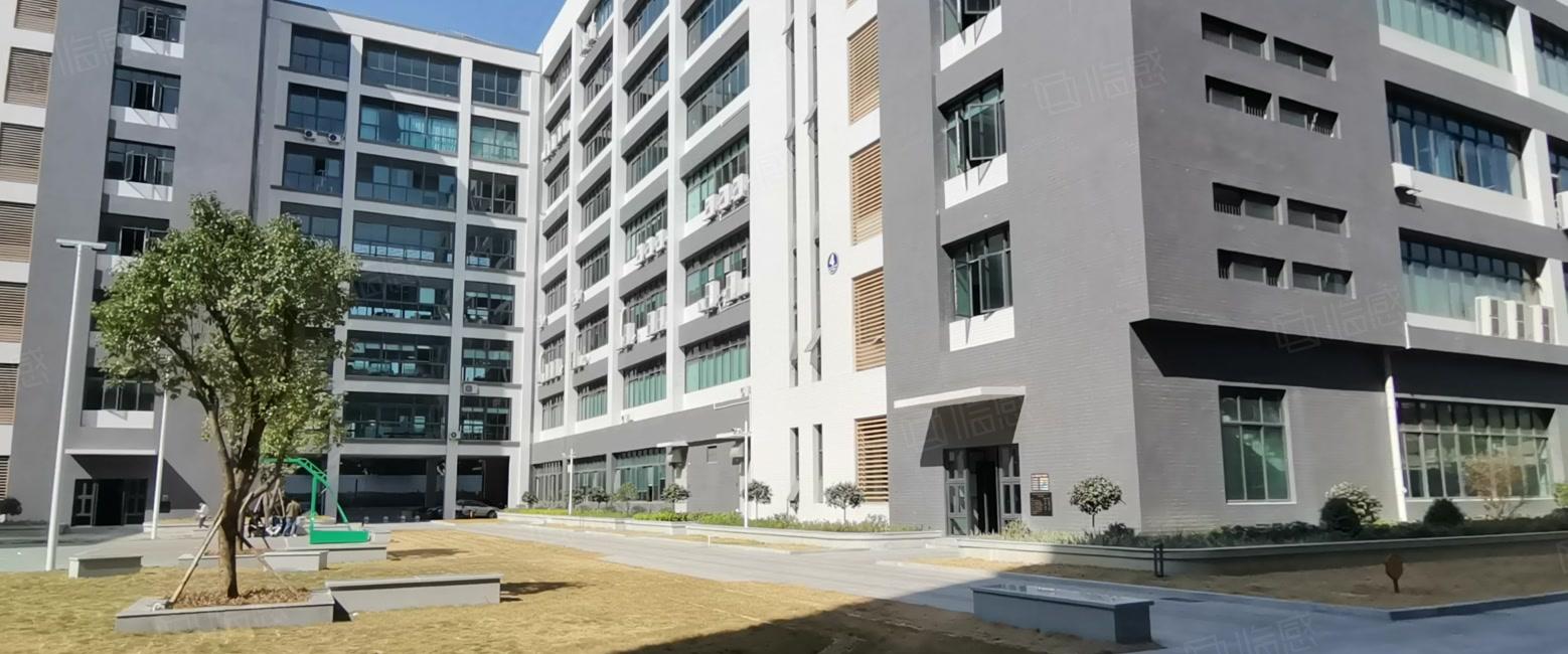 博罗 园洲新出原房东2万平工业厂房出租自建房使用率高可分租