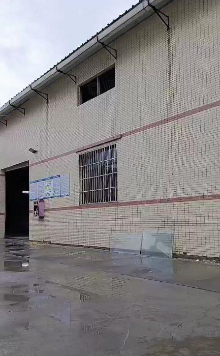 博罗县园洲原房东独院厂房出租砖墙到顶滴水8米1300平方独院