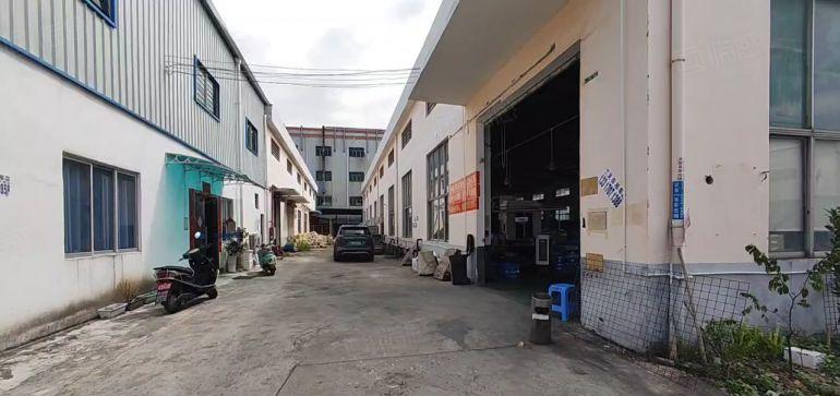 长宁大马路边原房东单一层钢构厂房