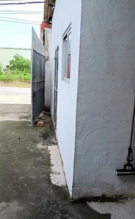 园洲镇新出一小钢构厂房