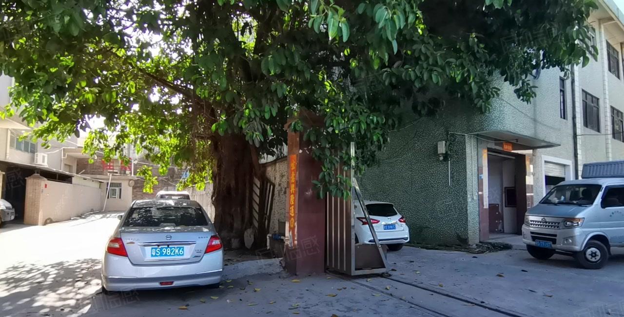 罗阳小金八号工业区一楼1000平红本独院仓库厂房出租可分租