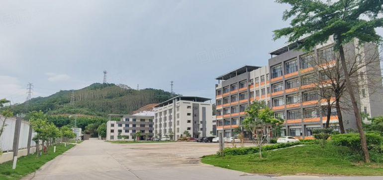博罗全新现代化超国标重工业钢结构厂房出租中高12米大小分租