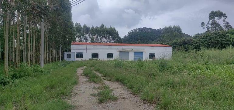 厂房出租 独门独院700平天大空地 周边无居民区