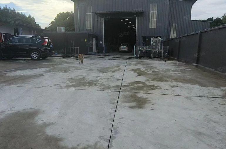 龙溪街道低价原房东单一层独院出租