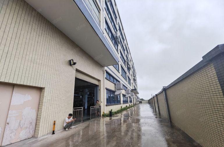 园洲工业区原房东自用厂房分租