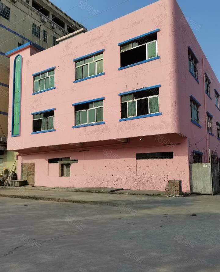 独门独院标准厂房出租 工业用地 可办环评 国土证