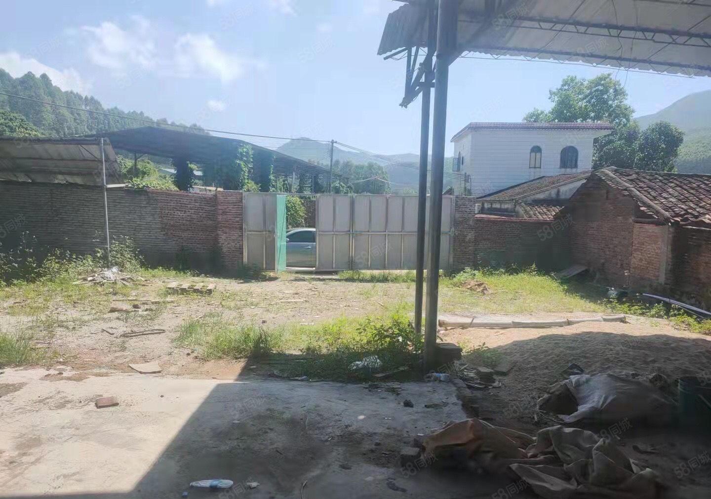 博罗龙华单一层独院3000平10元出租