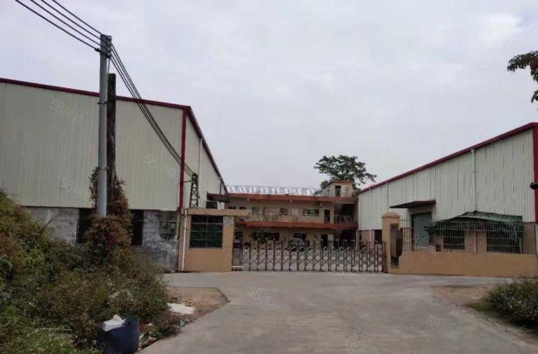 园洲镇原房东单层厂房2300平米，宿舍500