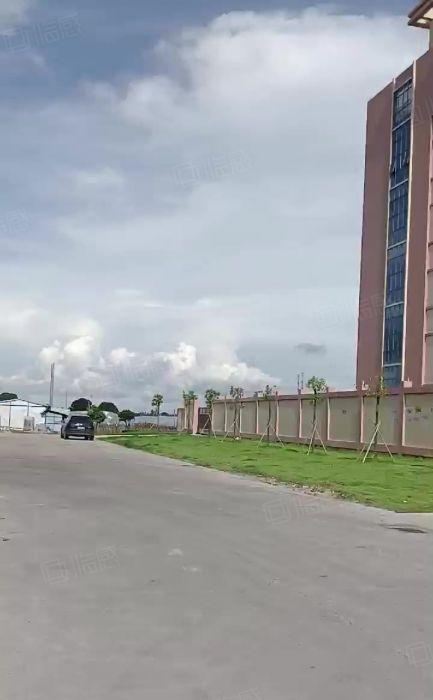 石湾镇原房东标准楼房出租分租1000方大空地免费全新红本厂房