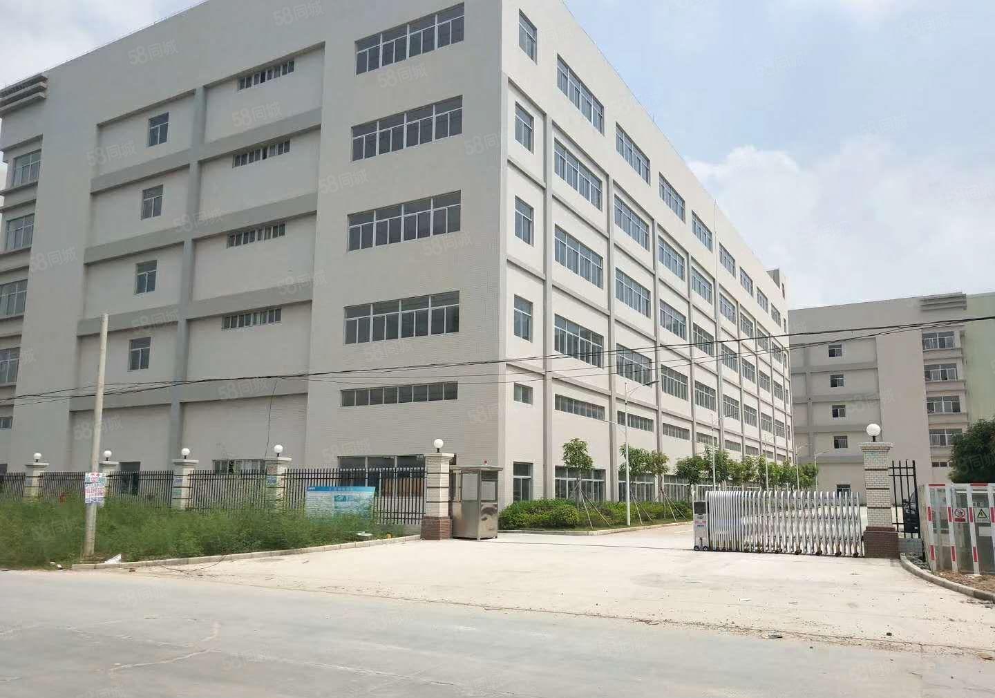 惠州市博罗县龙溪镇小蓬岗工业园区厂房出租10万方
