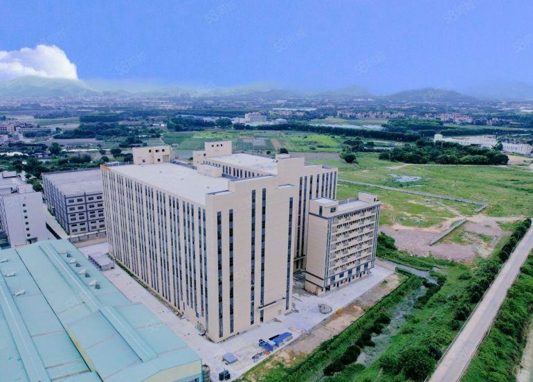 园洲镇重工业原房东花园式标准厂房出租